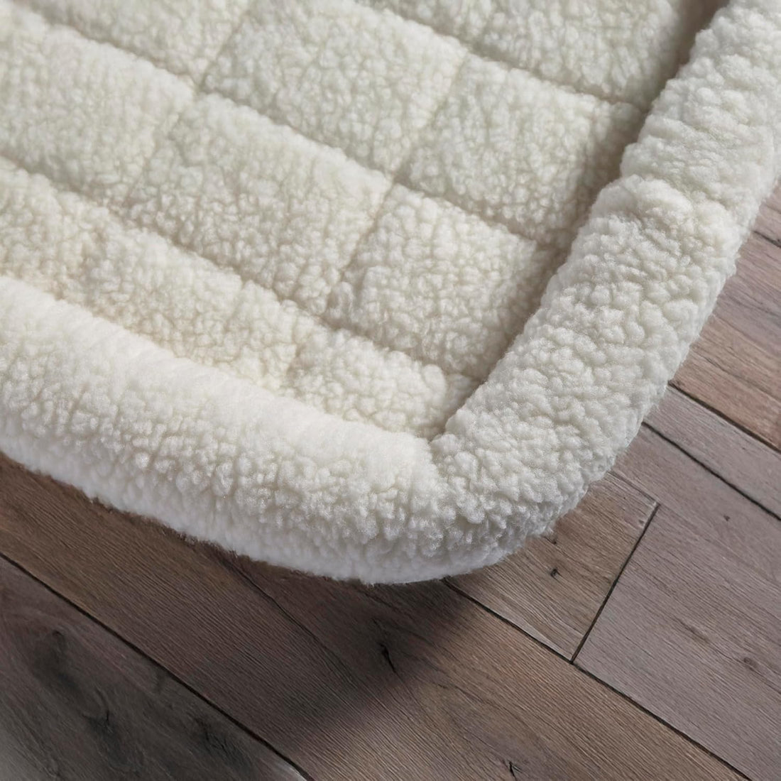 MidWest Homes for Pets Double Door iCrate Starter Kit