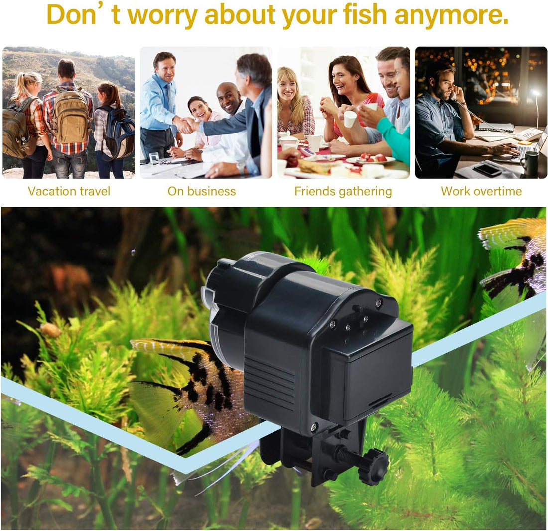 Lychee Aquarium Fish Feeder Vacation Aquarium Automatic Fish Food