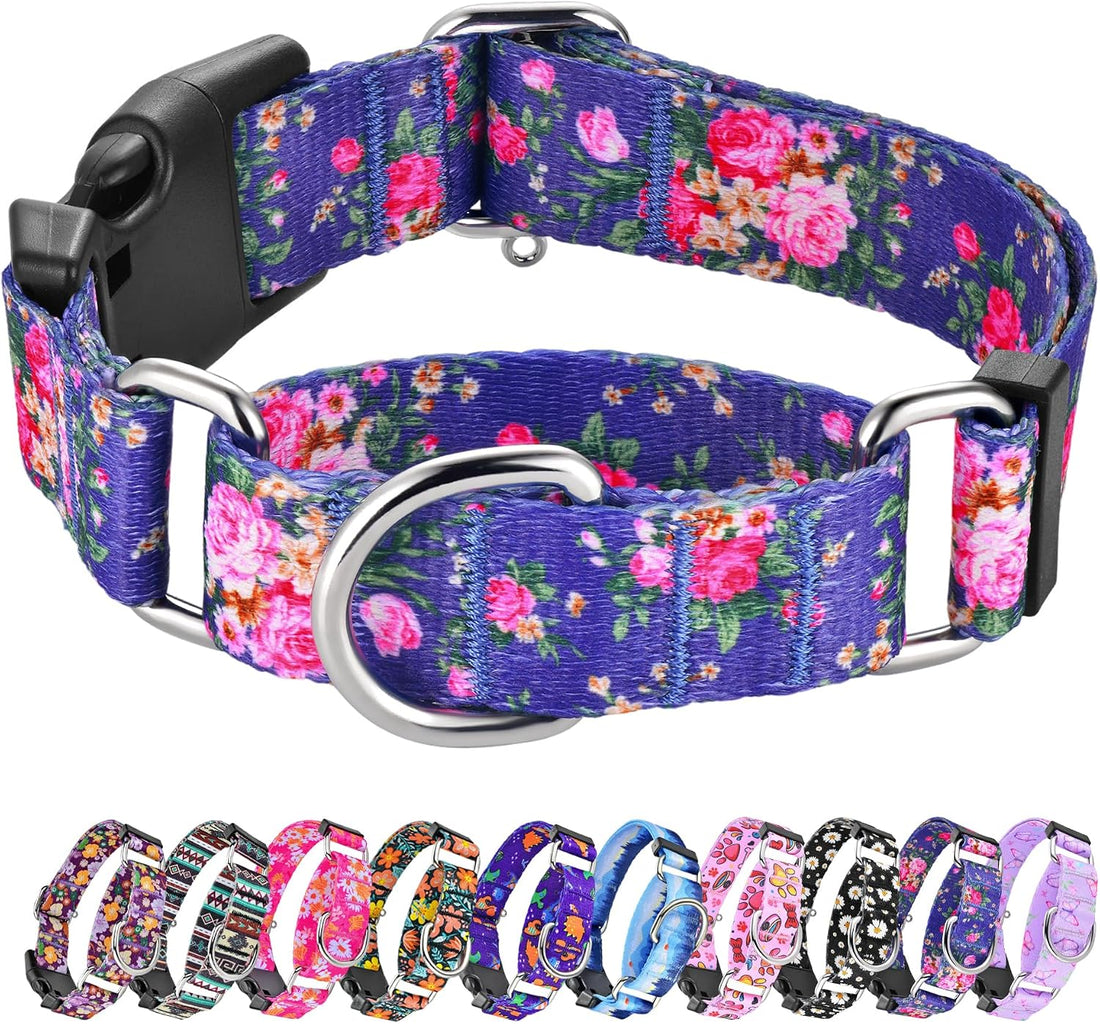 Hikiko Martingale Collar for Dogs with Special Pattern,Adjustable,M