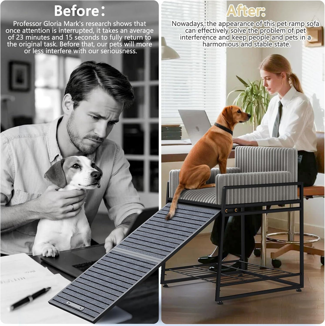 Dog Window Perch with Stairs and Storage,Pet Stairs Ramp with Seat