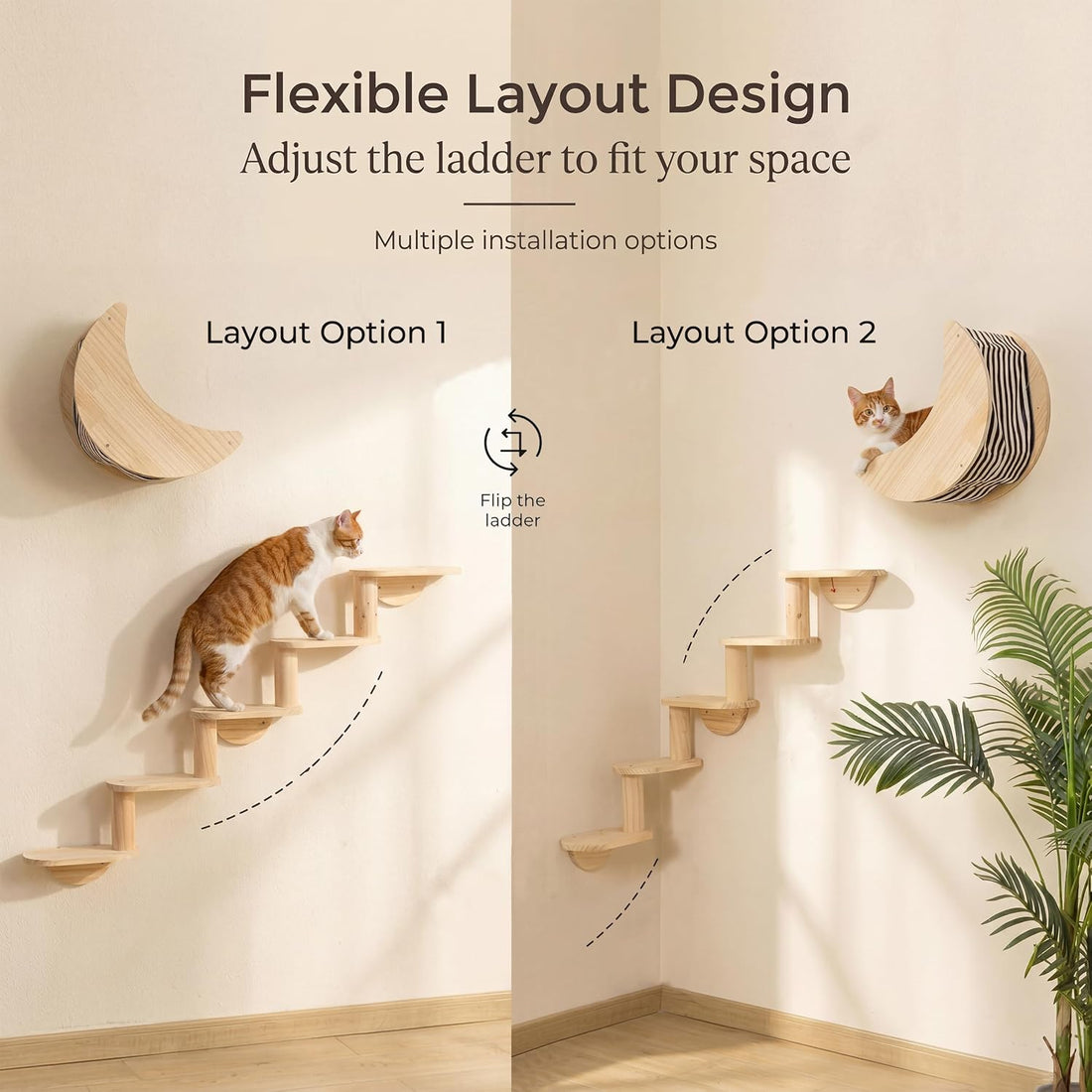 Cat Wall Shelves, Solid Wood Moon Bed