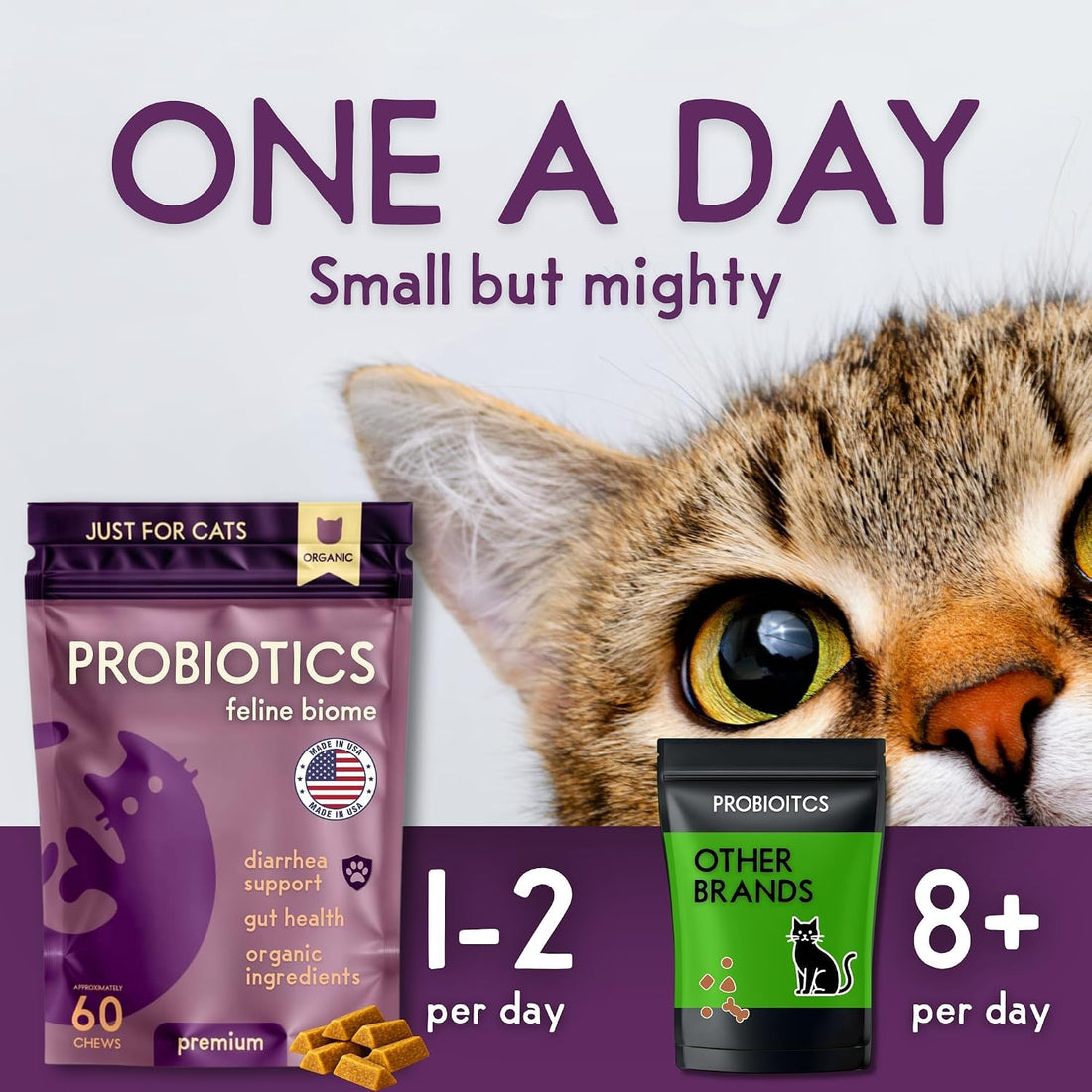 PURPLE CAT Probiotics for Cats, Gut and Digestive Health Support