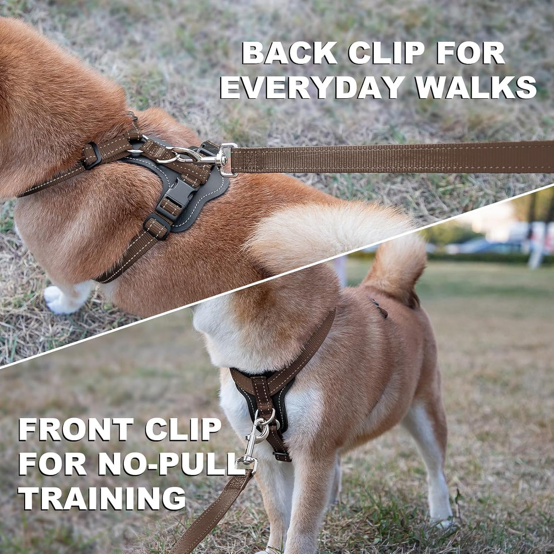 Plutus Pet No Pull Dog Harness with Leather Accents