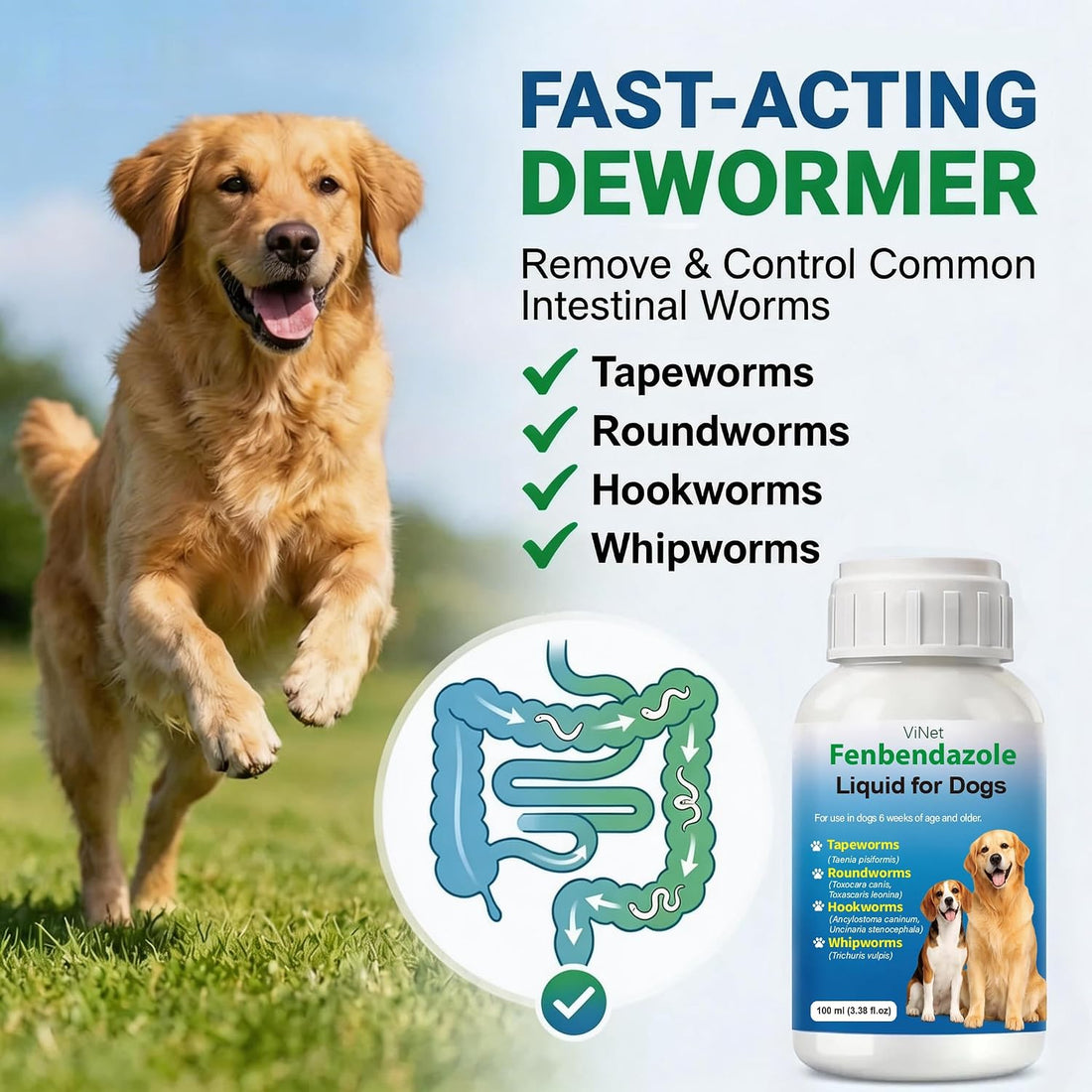 Dewormer for Dogs Fenbendazole for All Wormers, Roundworms