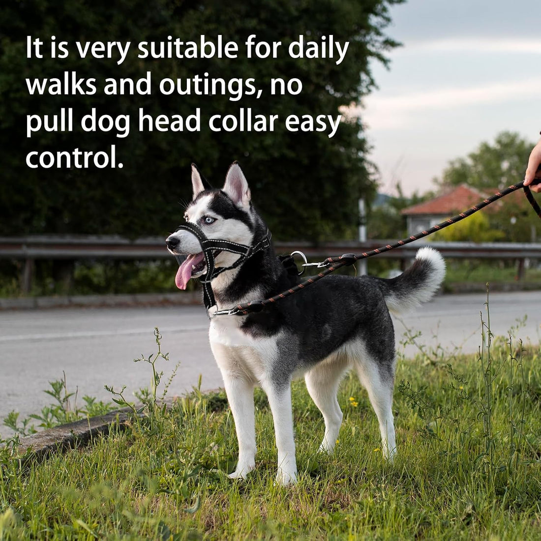 Dog Head Collar, Head Collar with Reflective Strap to Stop Pulling