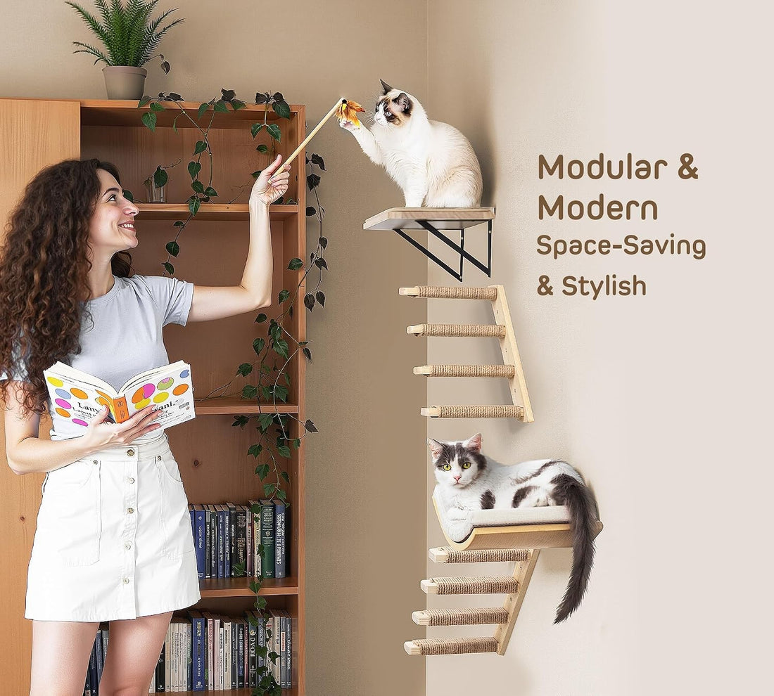 Cat Wall Shelf with Curved Hammock Bed