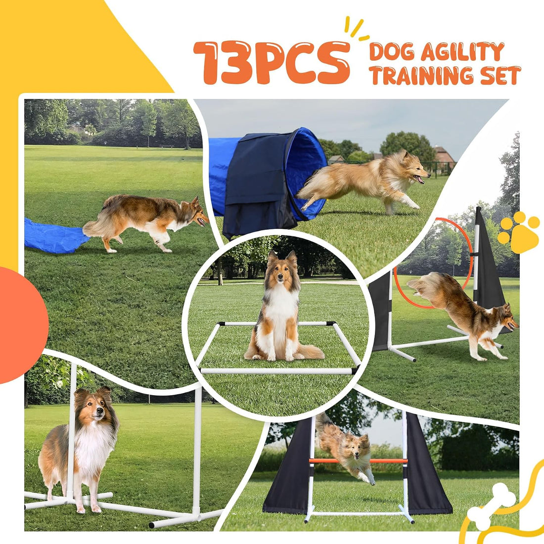 POPMOON Agility Training Equipment for Dogs
