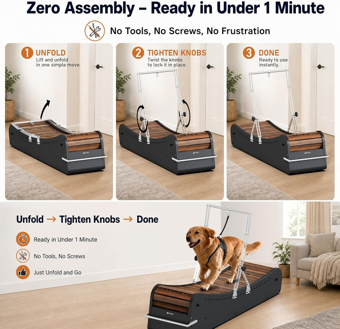 Curved Wooden Dog Treadmill, Zero Assembly, Ready to Use