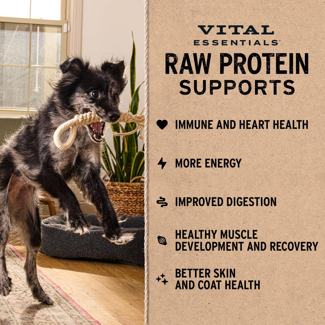 Vital Essentials Freeze Dried Dog Food, Raw Beef Crunchy Mini Nibs