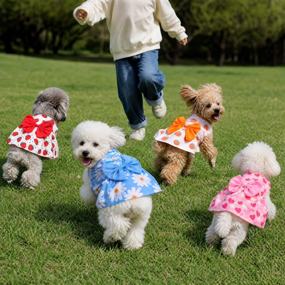4 Pcs Dog Dress Cute Cat Dress Puppy Skirt Summer Dog Clothes Pet