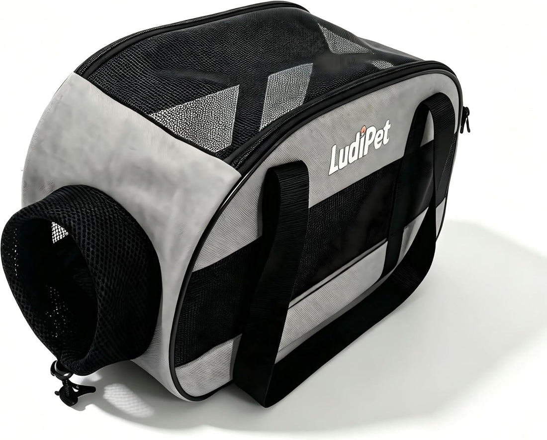 Airline-Friendly Pet Carrier for Cats and Small Dogs