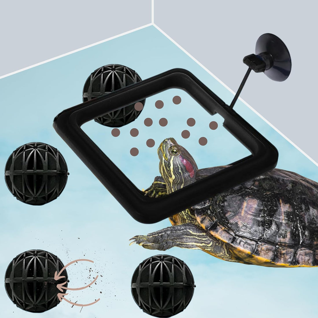 Turtle Feeding Ring for Fish Tank and 4pcs Nitrifying Balls Set