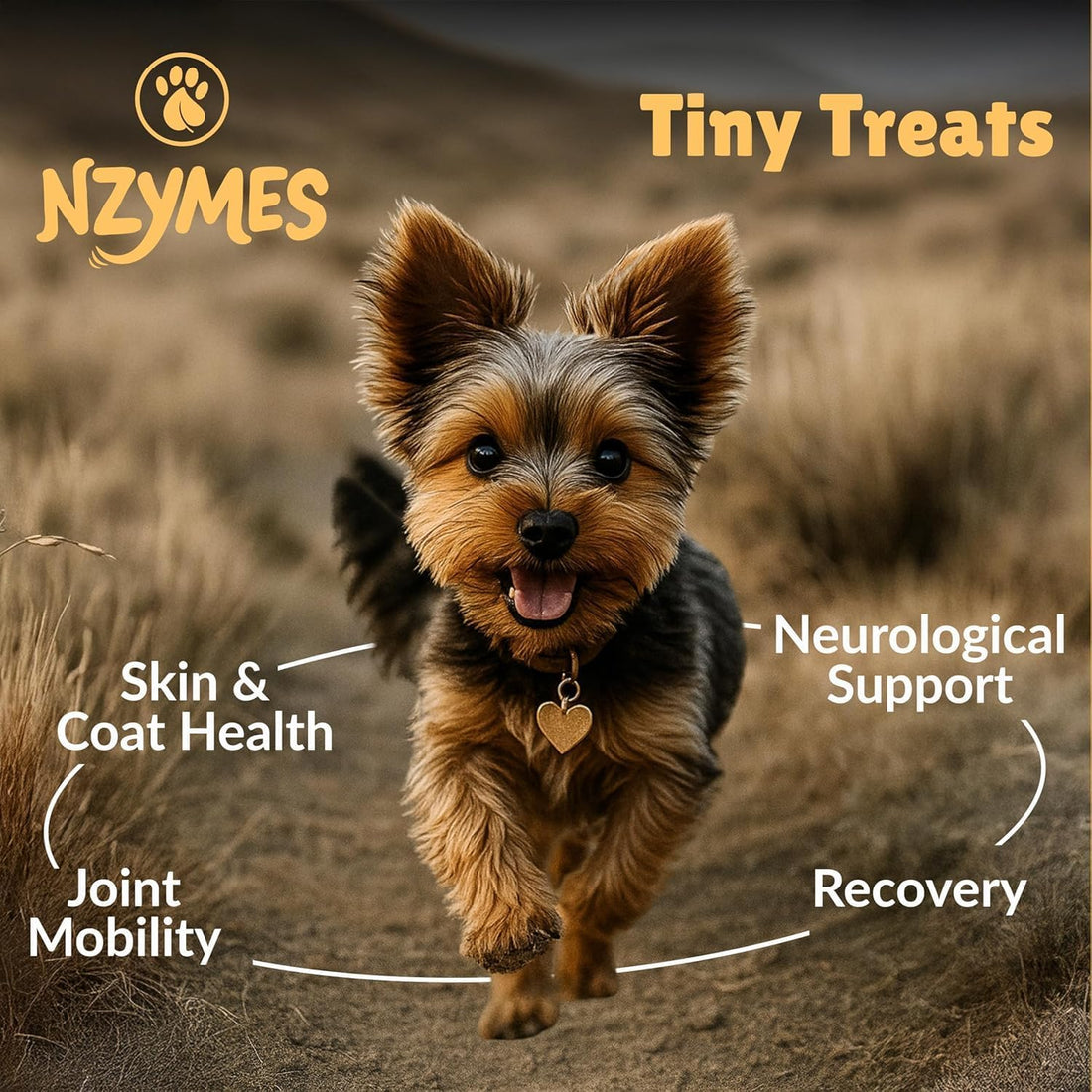 Nzymes Antioxidant Tiny Treats for Small Dogs, Hip & Joint Mobility
