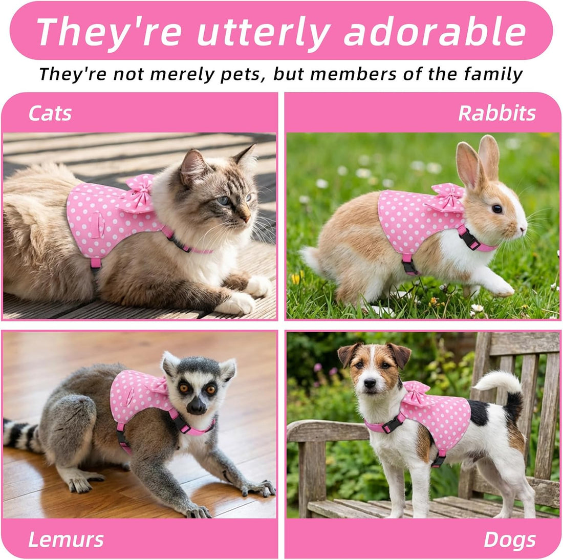 Bunny Clothes for Rabbits, Pink Polka Dot Rabbit Harness and Leash Set
