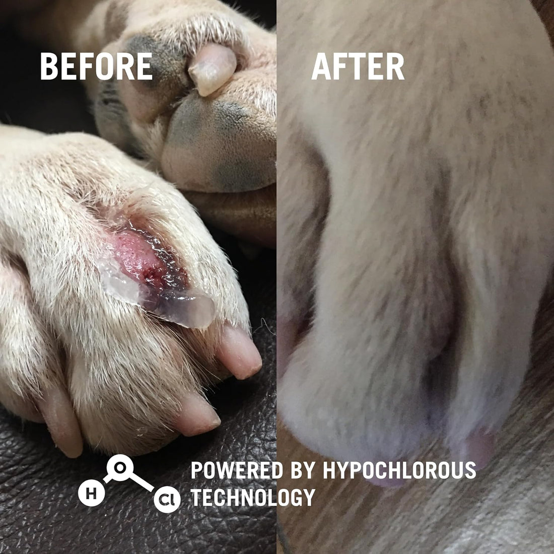 Vetericyn Plus Hydrogel Spray for Dogs, Wound & Skin Care Gel, 8 oz