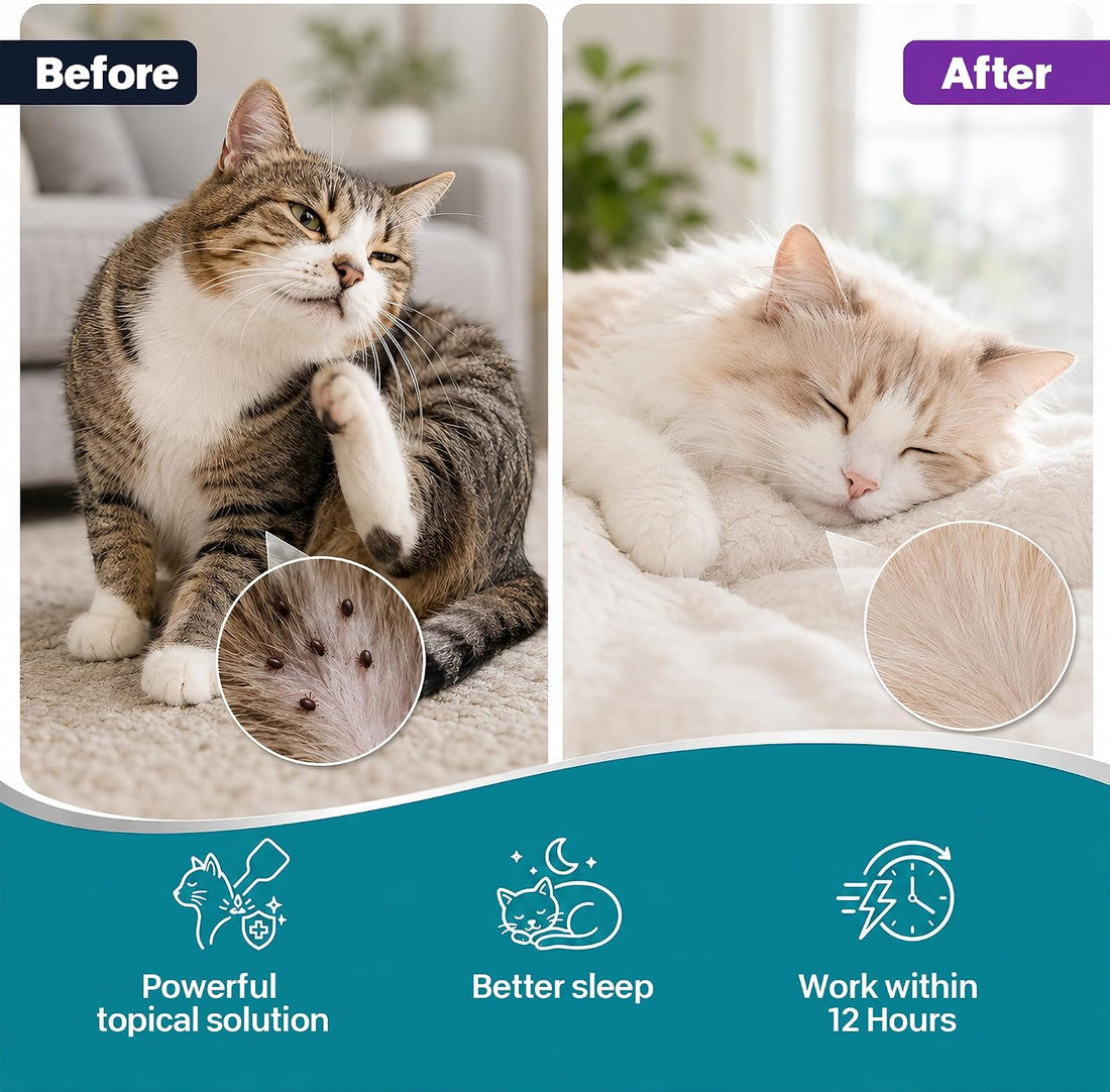 Cat Flea & Tick Topical Cat Care Drops for Kittens & Cats,12 Dose