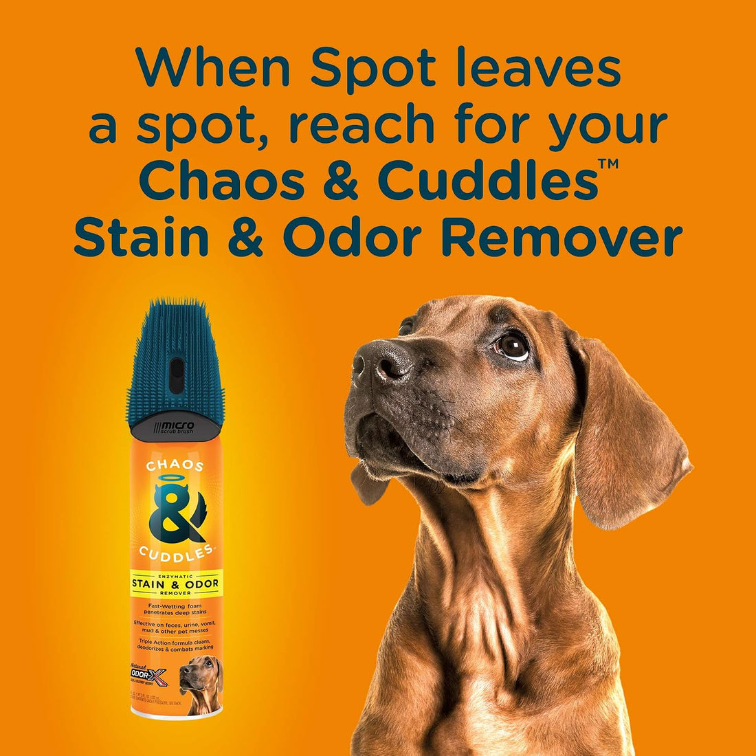 Chaos & Cuddles 50966 Pet Stain and Odor Remover - 18 fl Oz.
