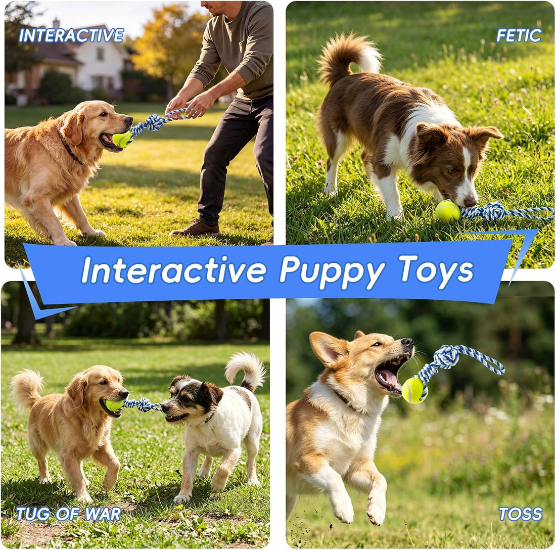 Erhalithegro Interactive Tug of War Rope Toy for Medium & Small Dogs