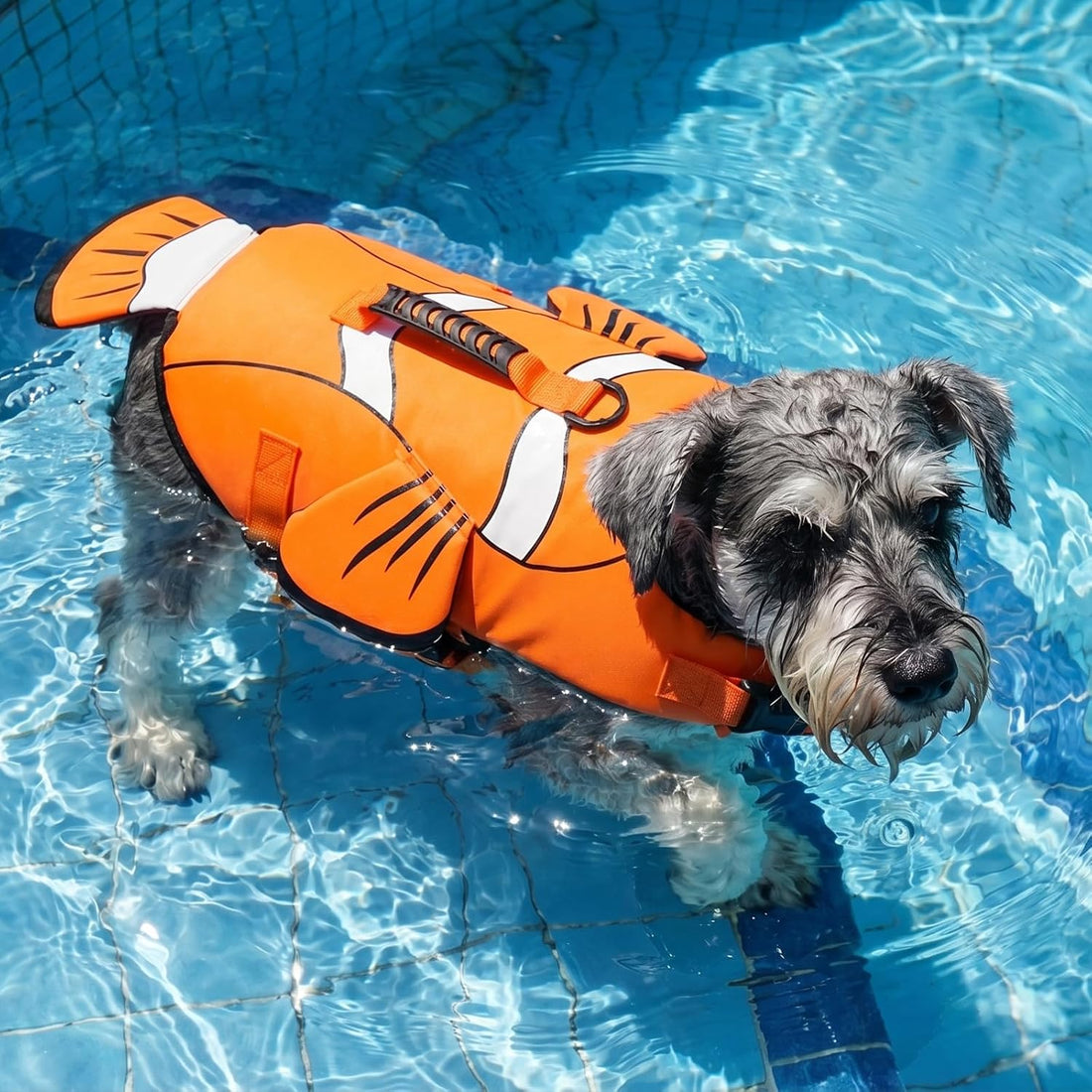 DENTRUN Dog Life Jacket for Swimming Boating