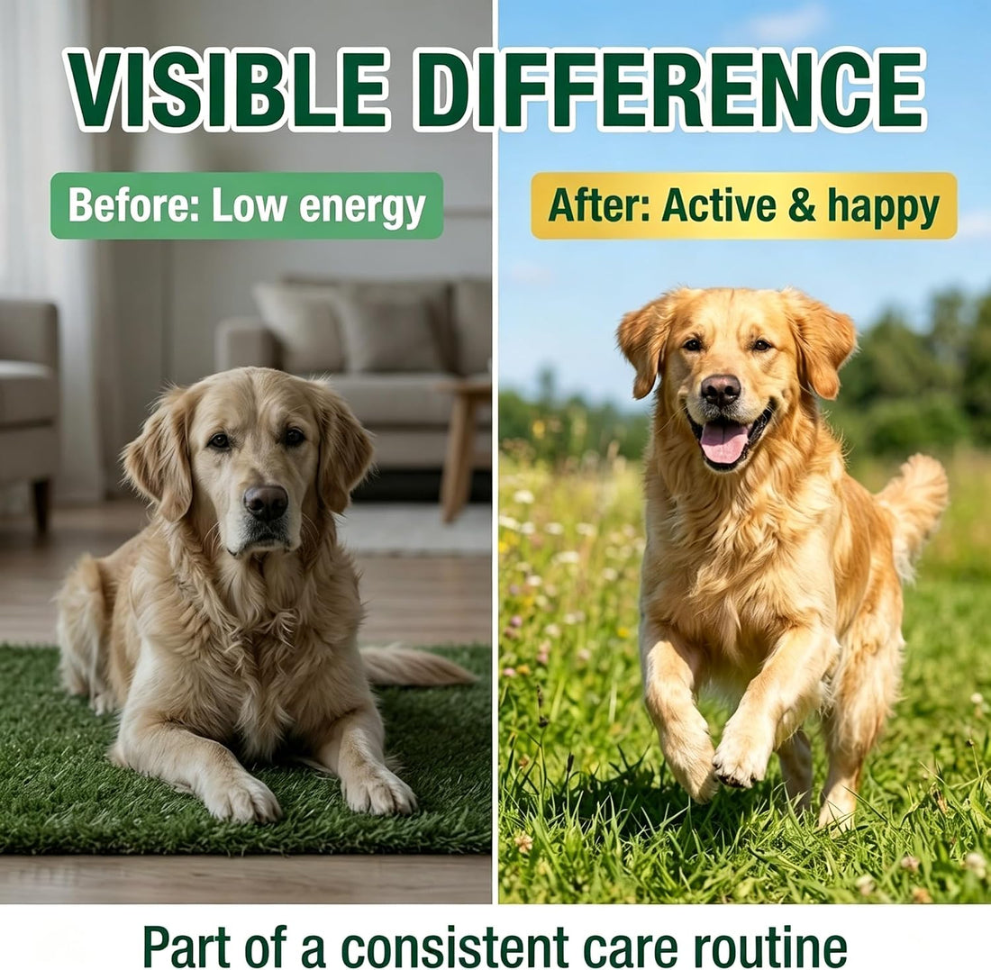 Dewormer for Dogs, Pyrantel Pamoate and Praziquantel for Tapeworms