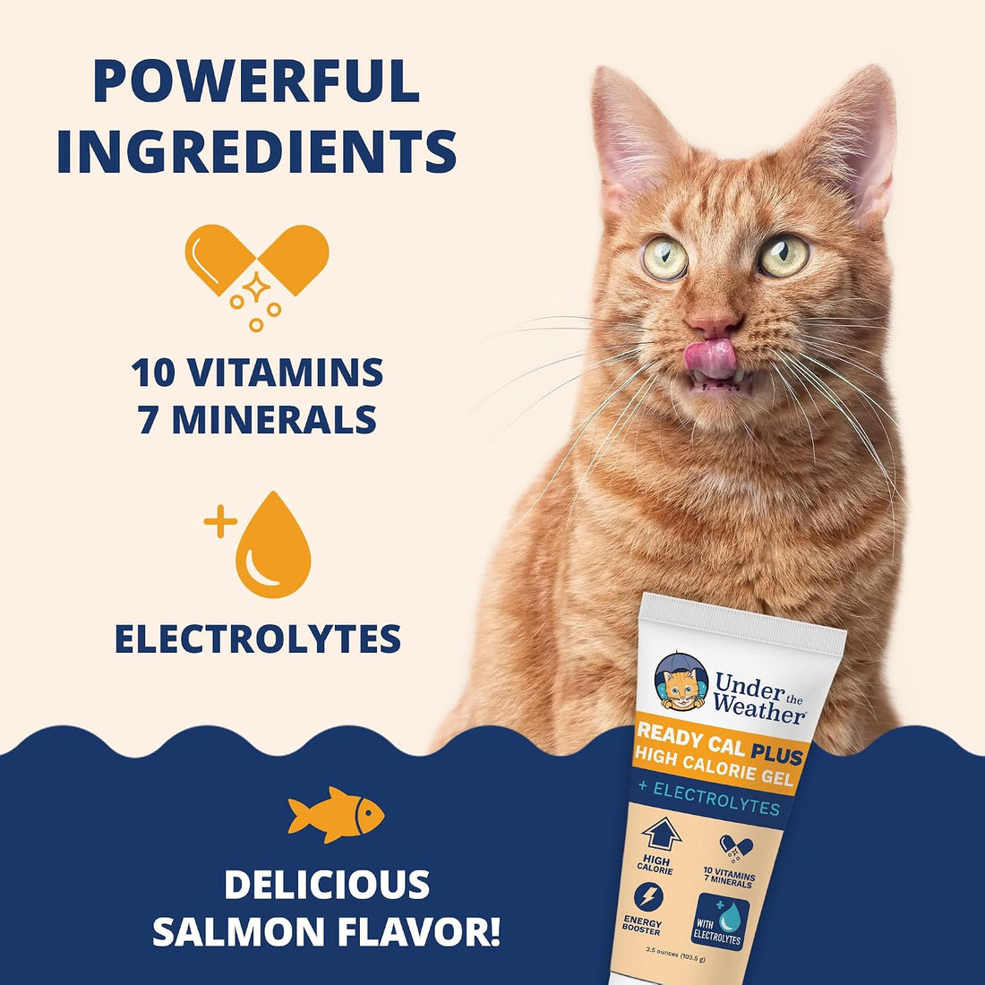 Under the Weather Pet Electrolytes Ready Cal Plus Gel for Cats