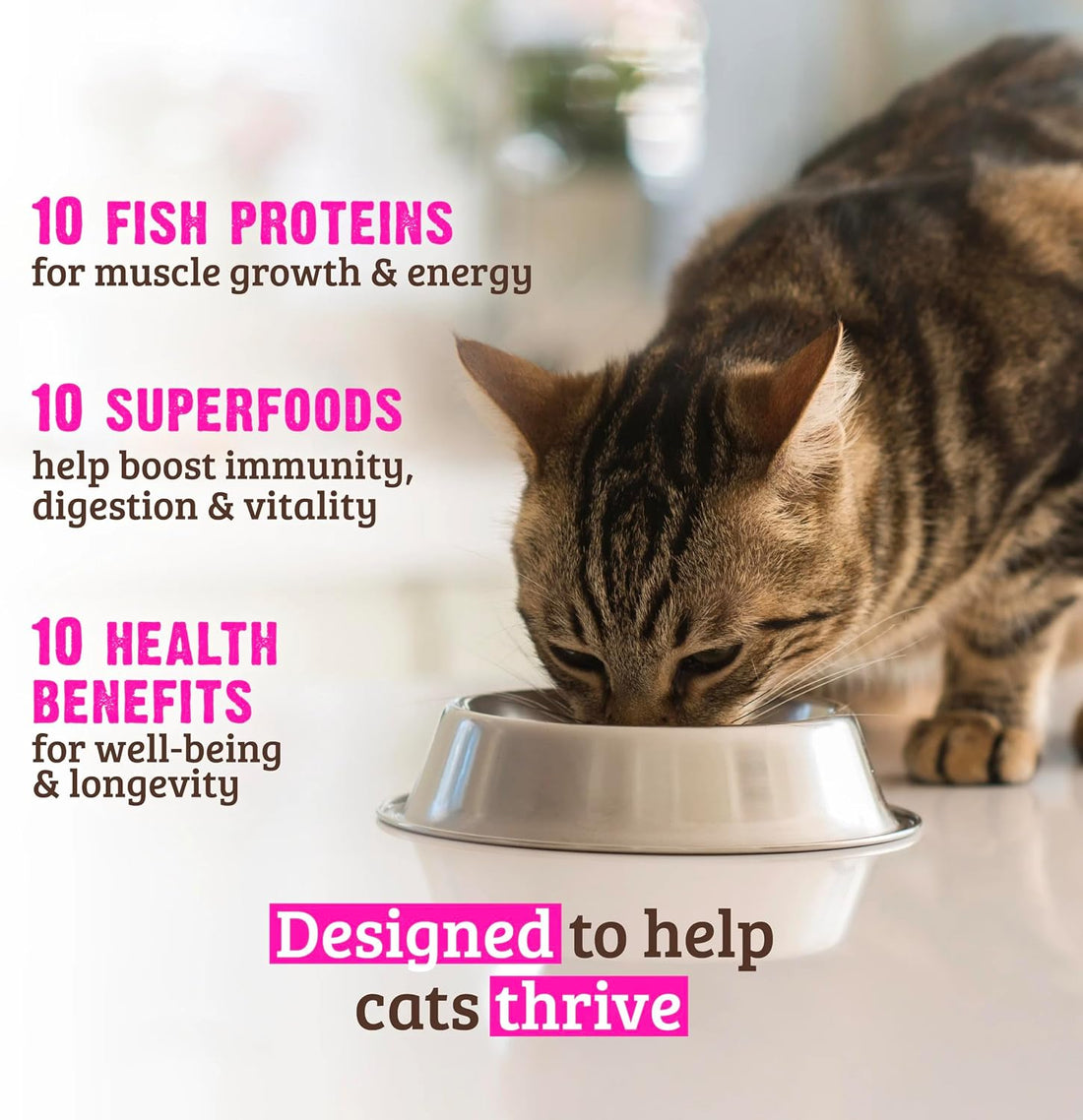 Rawz Cat Dry Food, 10+ Essentials Fish & Dehydrated Fish Recipe