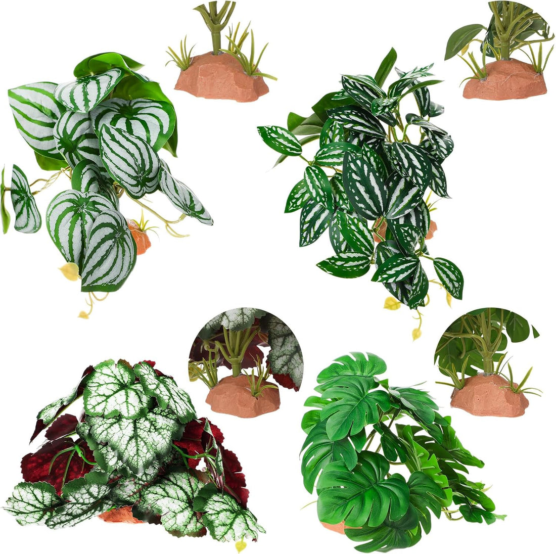 Suncalla 4 Pack Reptile Plants for Terrarium