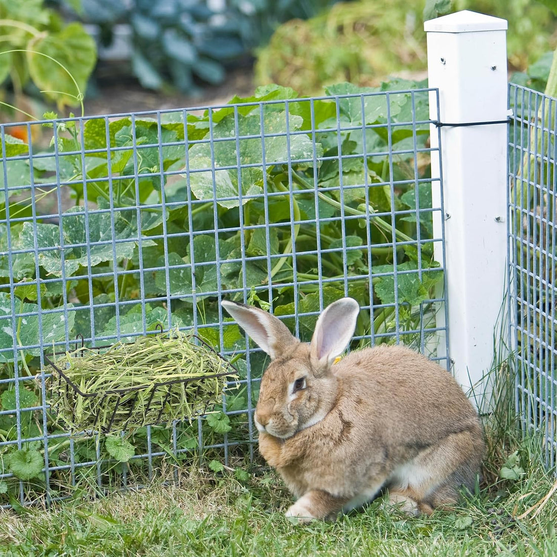 4 Pcs Rabbit Hay Feeder, Metal Rabbit Hay Rack with Hooks