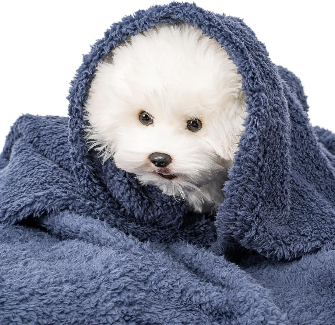 2 Blankets, Dog Cat Pet Blanket, Soft Warm Fleece, for Puppy