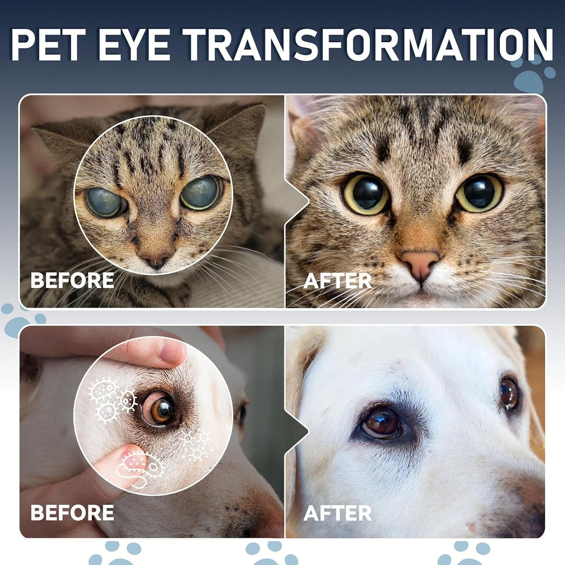 Dog & Cat Cataract Eye Drops & Infection Treatment