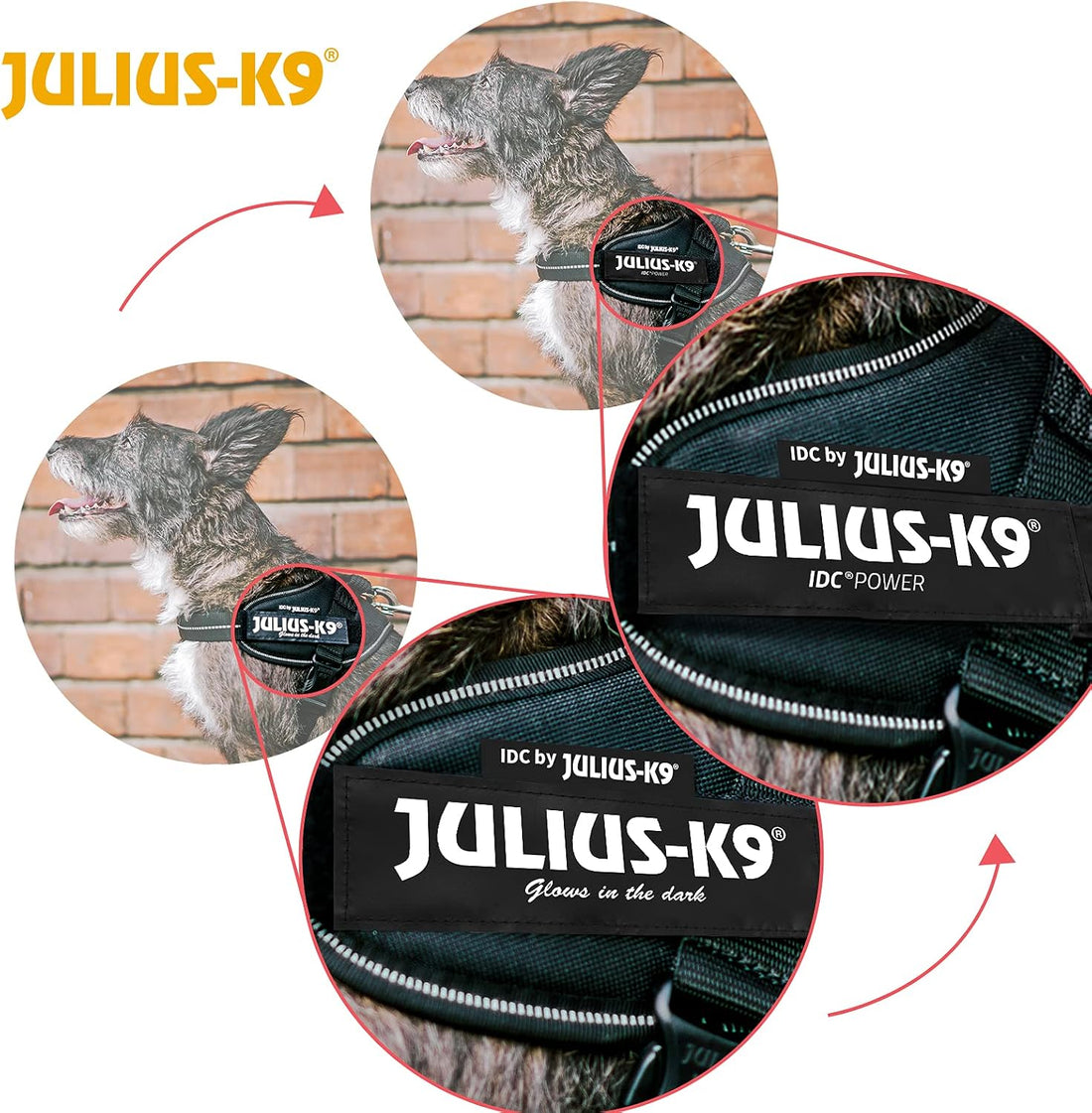 Julius-K9, 16IDC-P-M, IDC Powerharness, Dog Harness, Size: