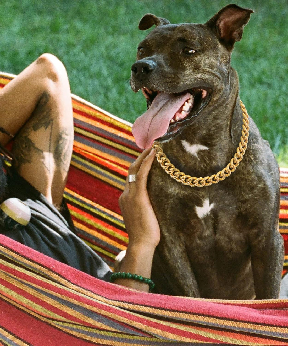 Gold Chain Dog Collar-15mm Cute Dog Collar Pet Gold Necklace Bulldog