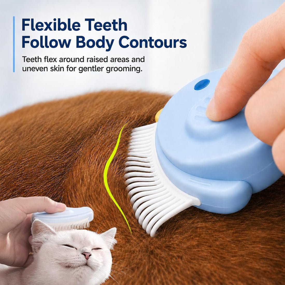 2 Pack Pet Eye Face Comb and Cat Shedding Brush for Dogs Cats