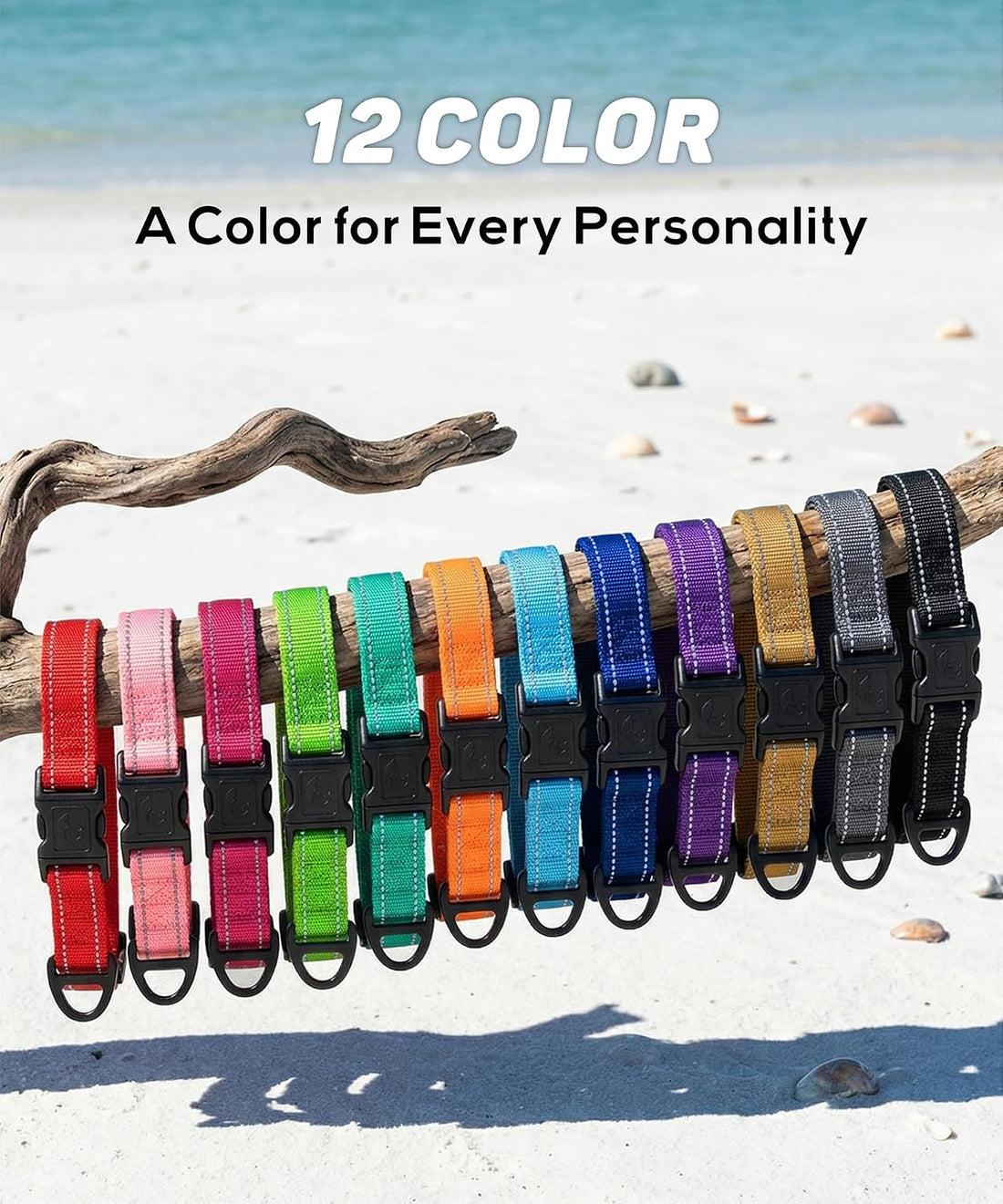 TagME Dog Collar for Small Dogs Reflective High Visibility Soft Nylon