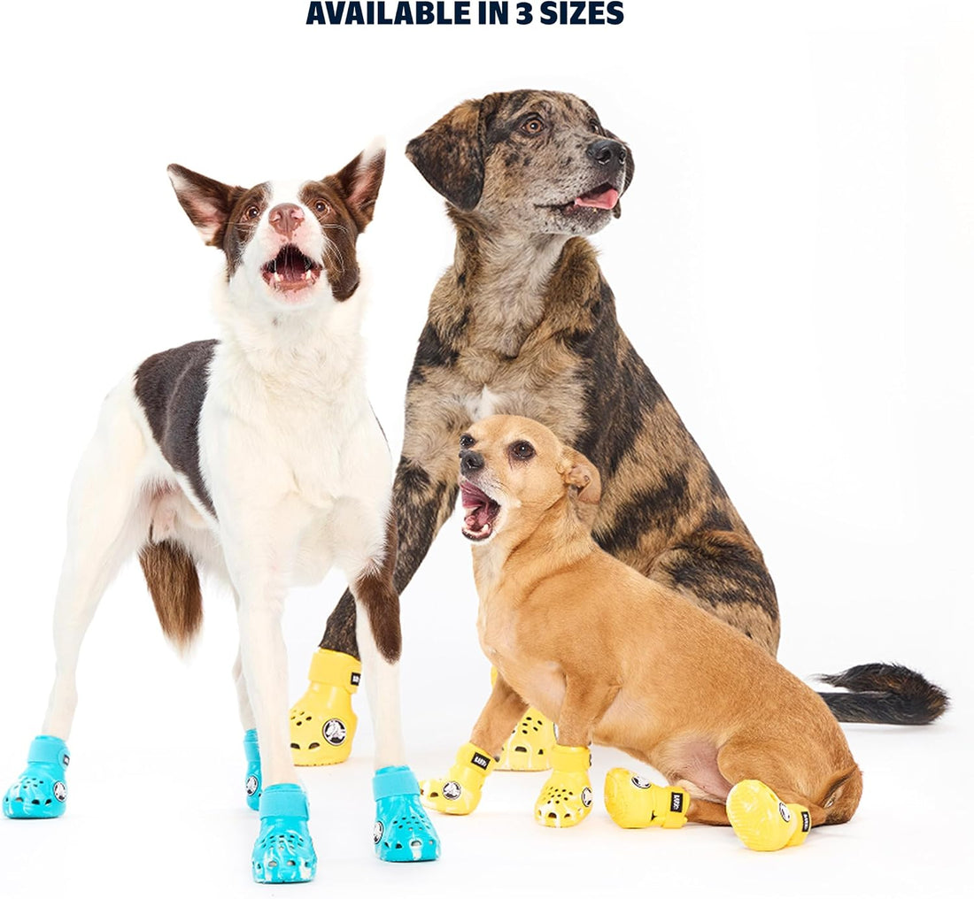BARKBOX Yellow Crocs Dog Shoes - for Large Breeds (51-80 lbs)