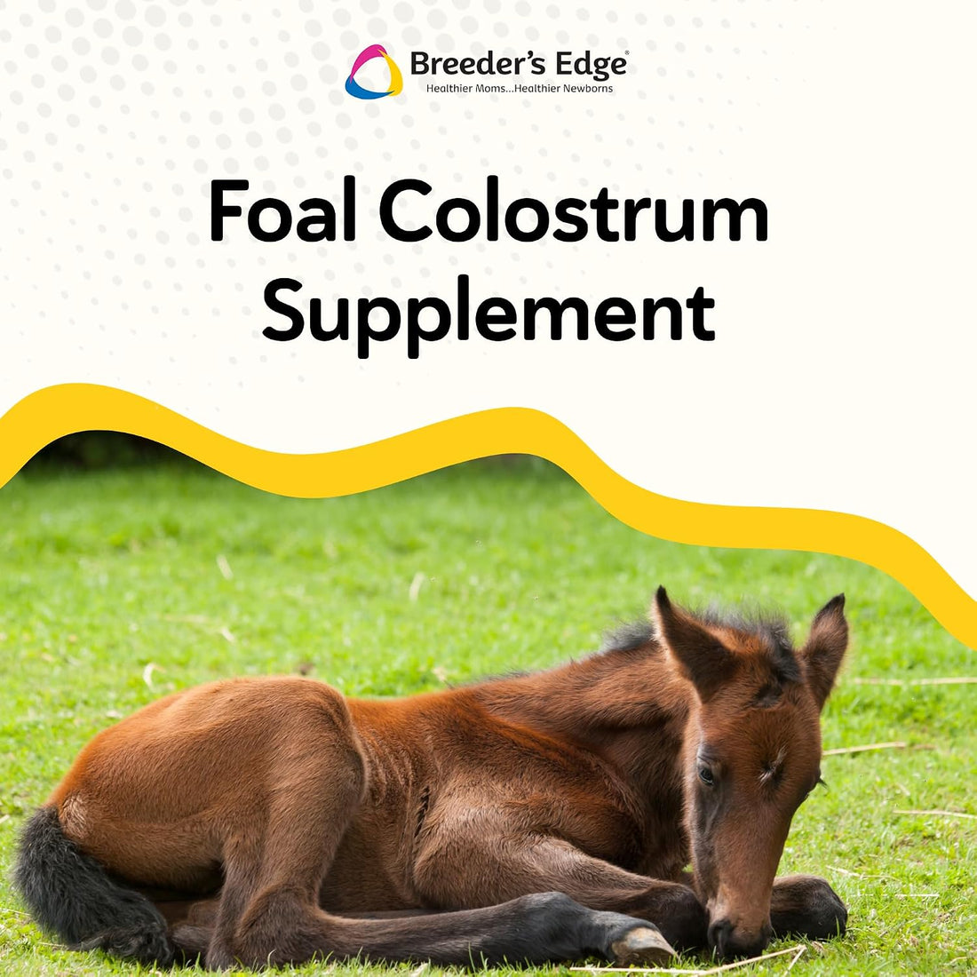 Breeder's Edge Nurture Mate Colostrum Supplement for Newborn Foals