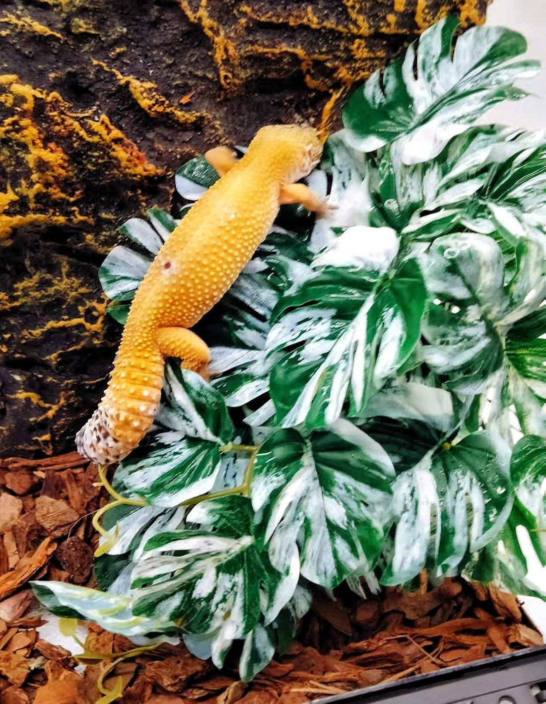 Reptile Plants for Terrarium, Reptile Tank Decor,Artificial Plants