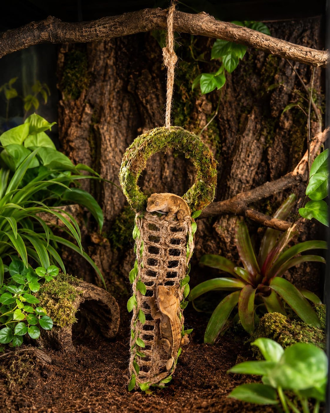 Crested Gecko Hide, Hanging Moss-Style Reptile Hideout with Rope