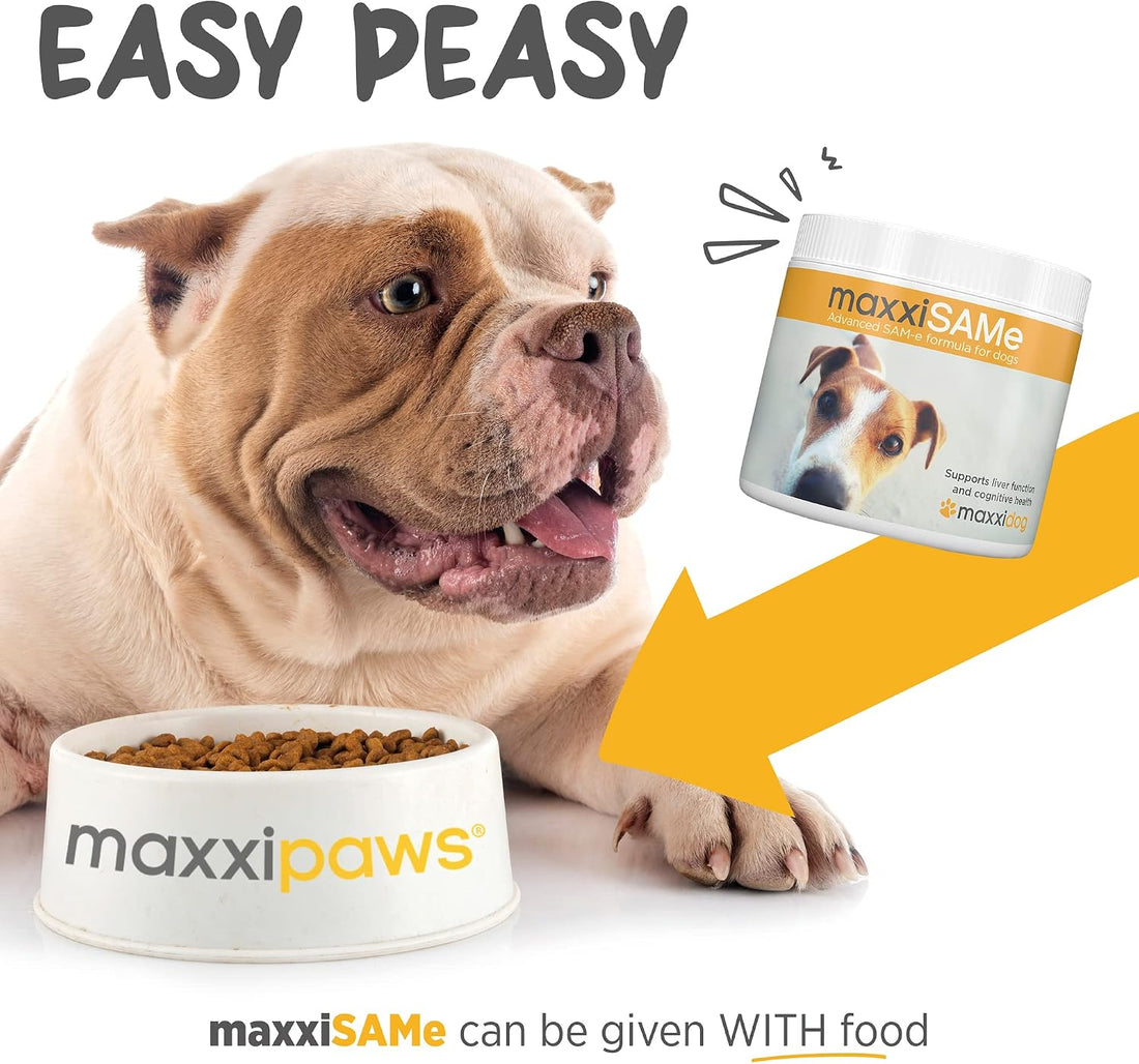 maxxipaws maxxiSAMe Advanced SAM-e Powder Supplement - Liver
