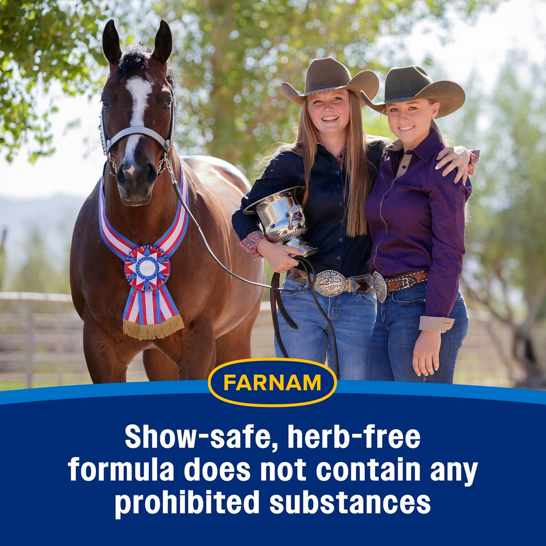 Farnam Quietex Show Calming & Focusing Paste for Horses, 30 cc Syringe