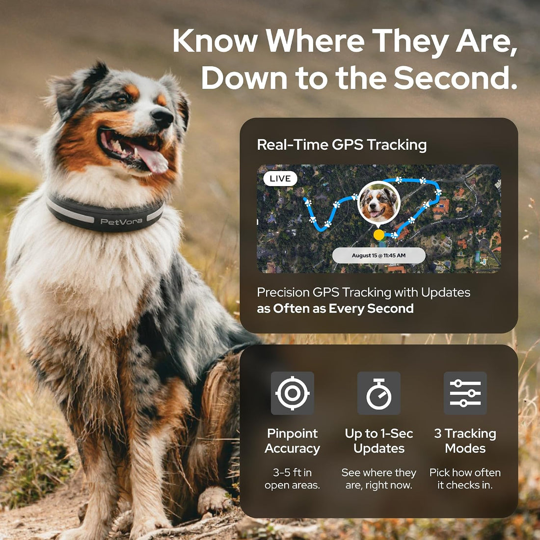 Smart Collar GPS Dog Collar, Real-Time Tracking & Escape Alerts