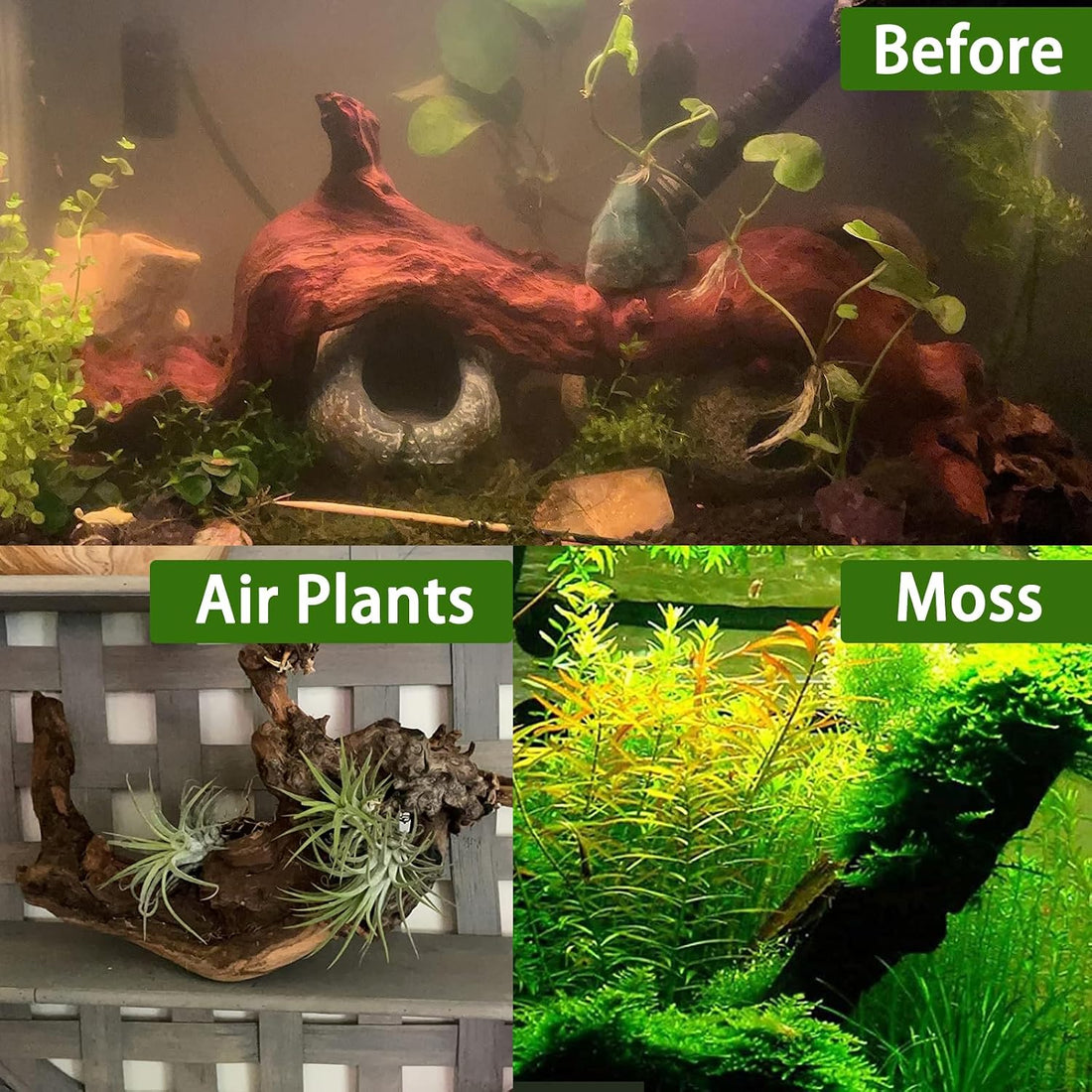 Tfwadmx Natural Driftwood for Aquarium Decor 11-17" Fish Tank Reptile