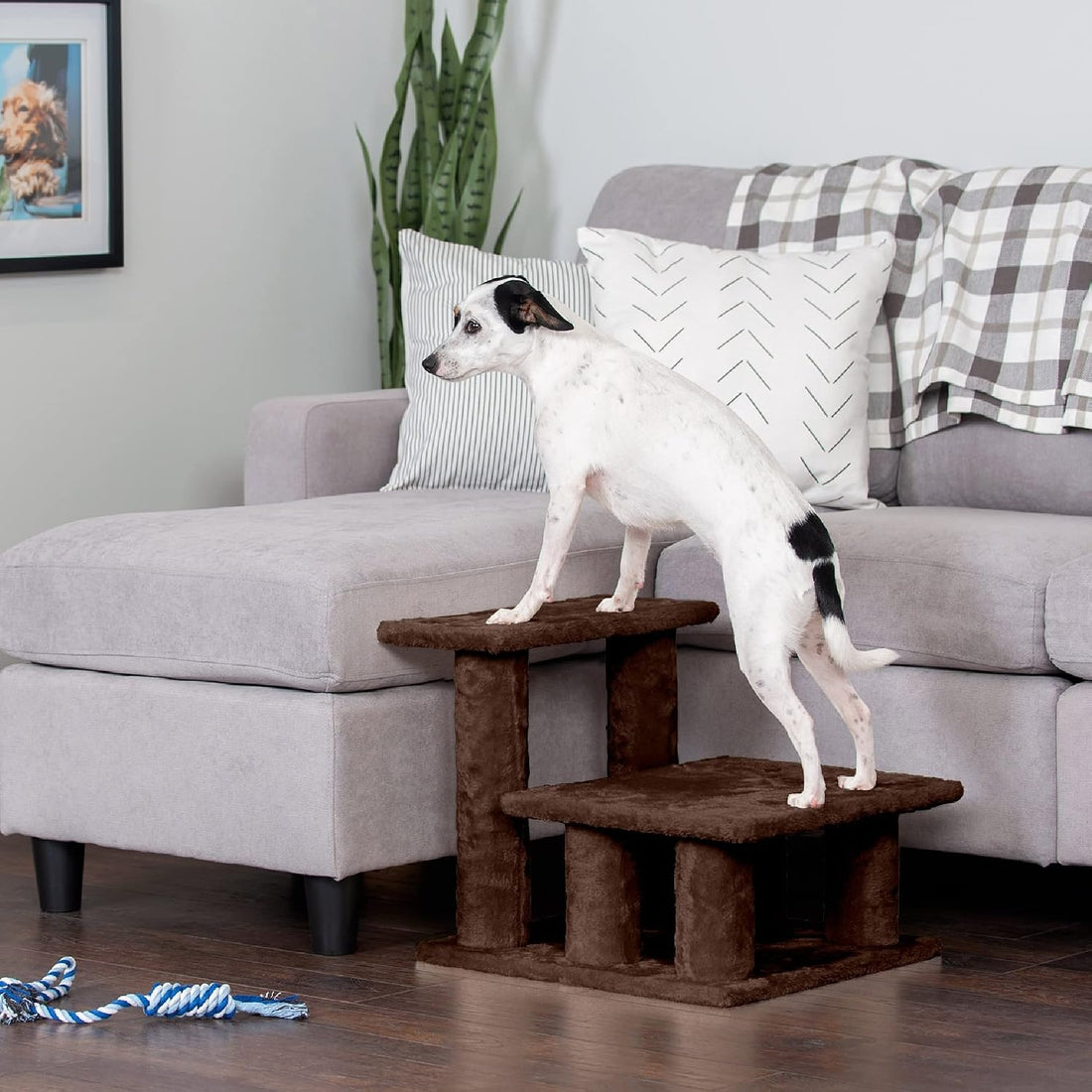 Furhaven Steady Paws Multi-Step Pet Stairs for High Beds & Sofas