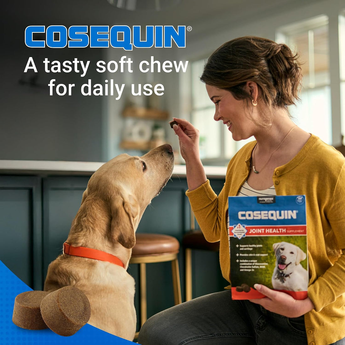 Nutramax Cosequin for Dogs Joint Health Supplement
