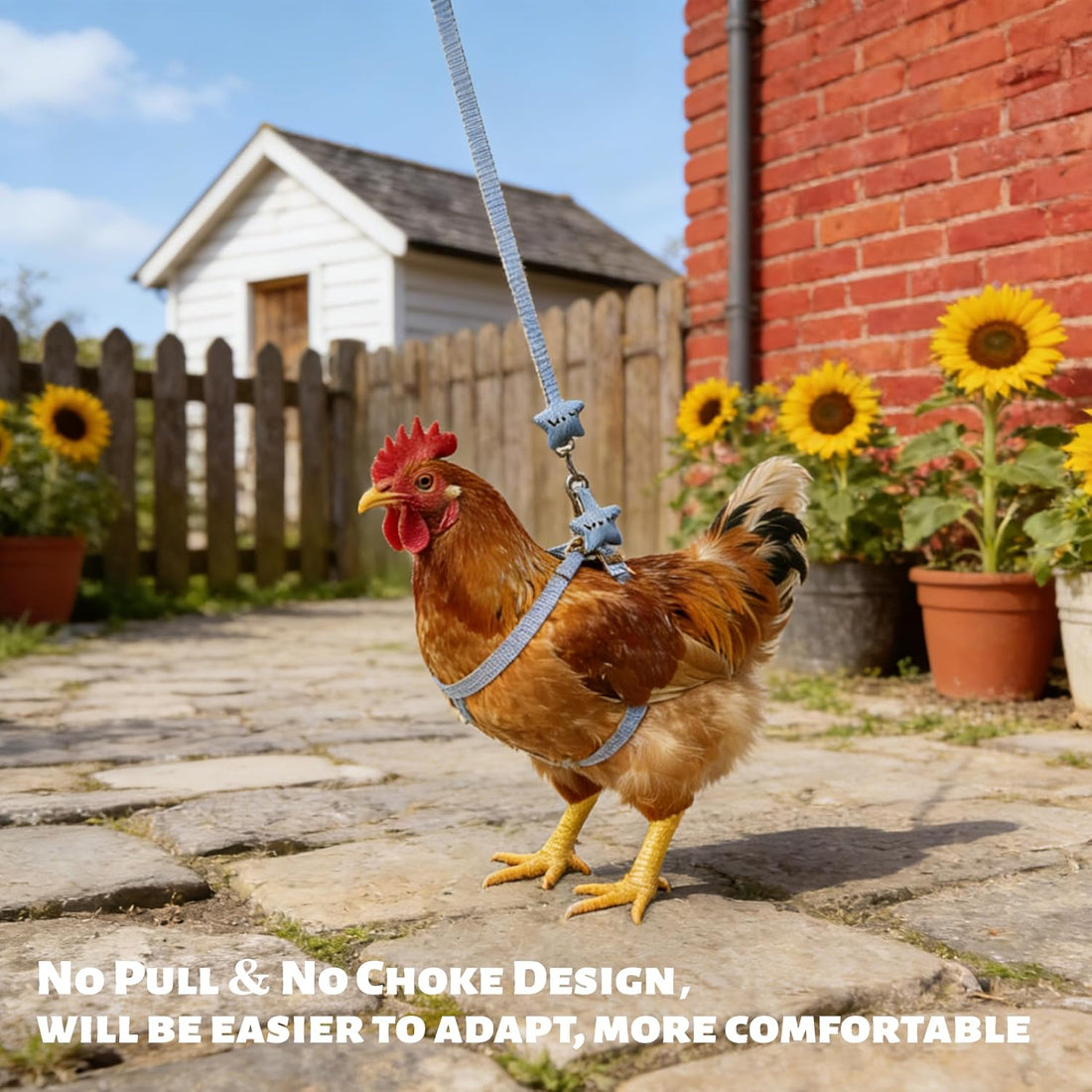 2Pcs Adjustable Chicken Harness and Leash Set, Duck Harness, Blue