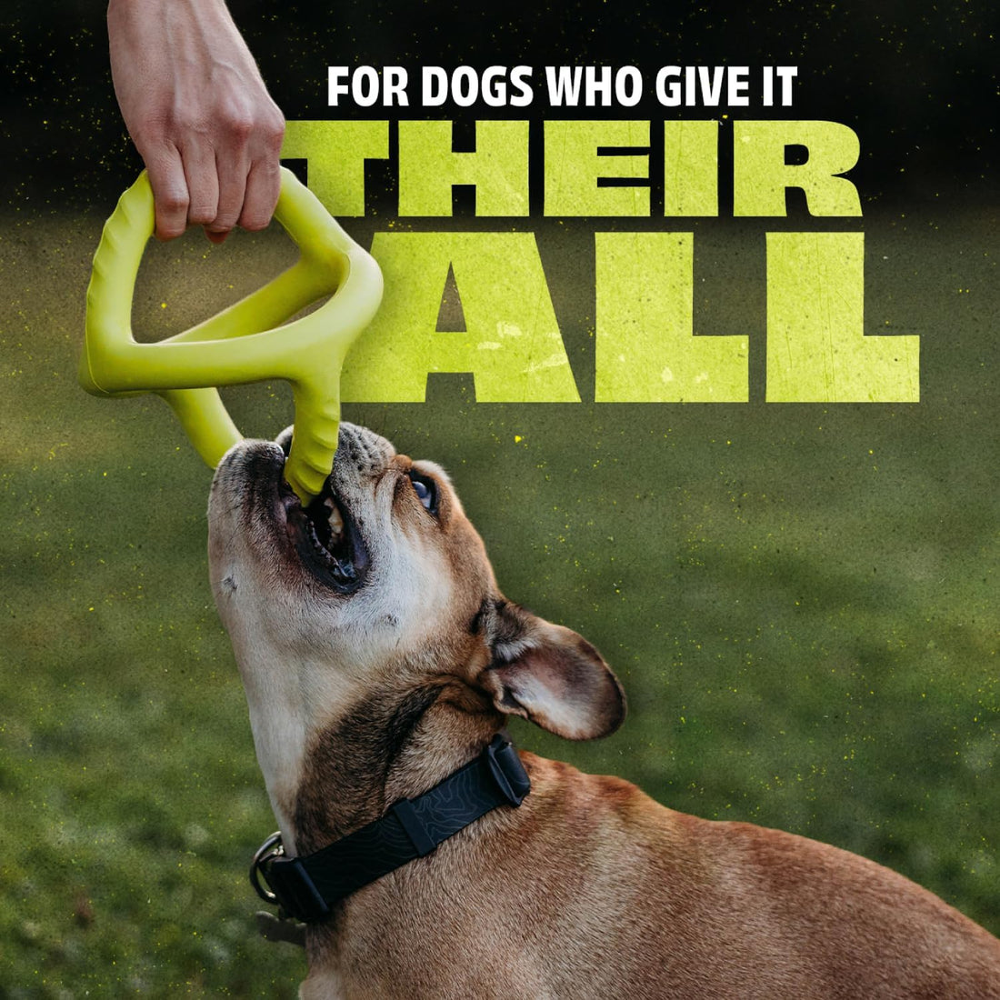 Benebone Natural Rubber Tug Interactive Dog Toy