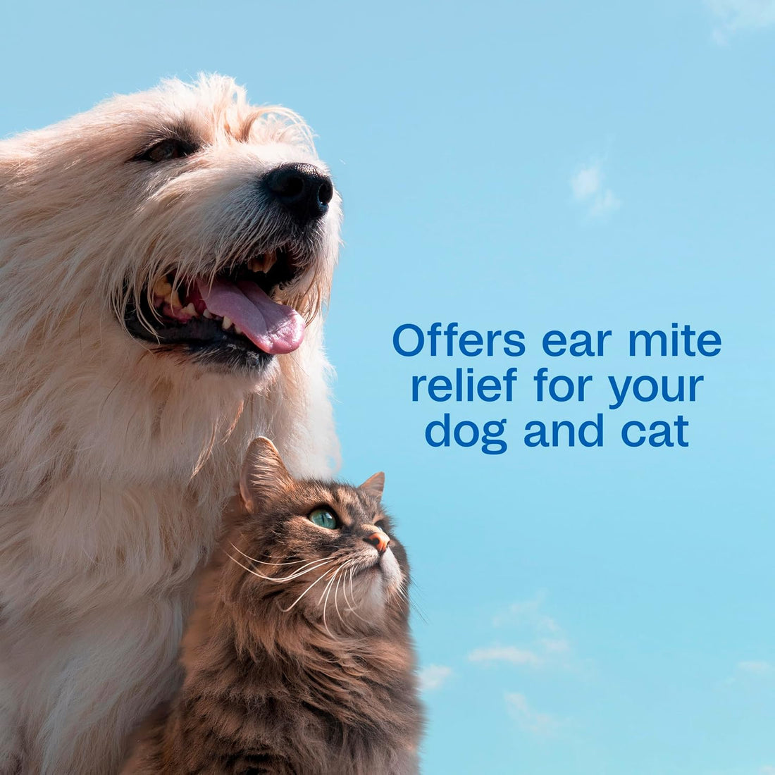 ADAMS Ear Mite Treatment for Dogs, Cats, Puppies & Kittens