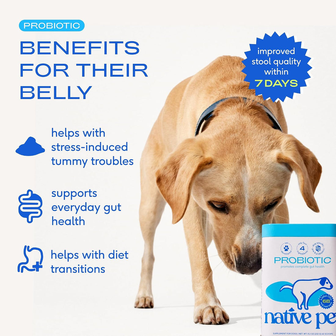 Native Pet Probiotics for Dogs