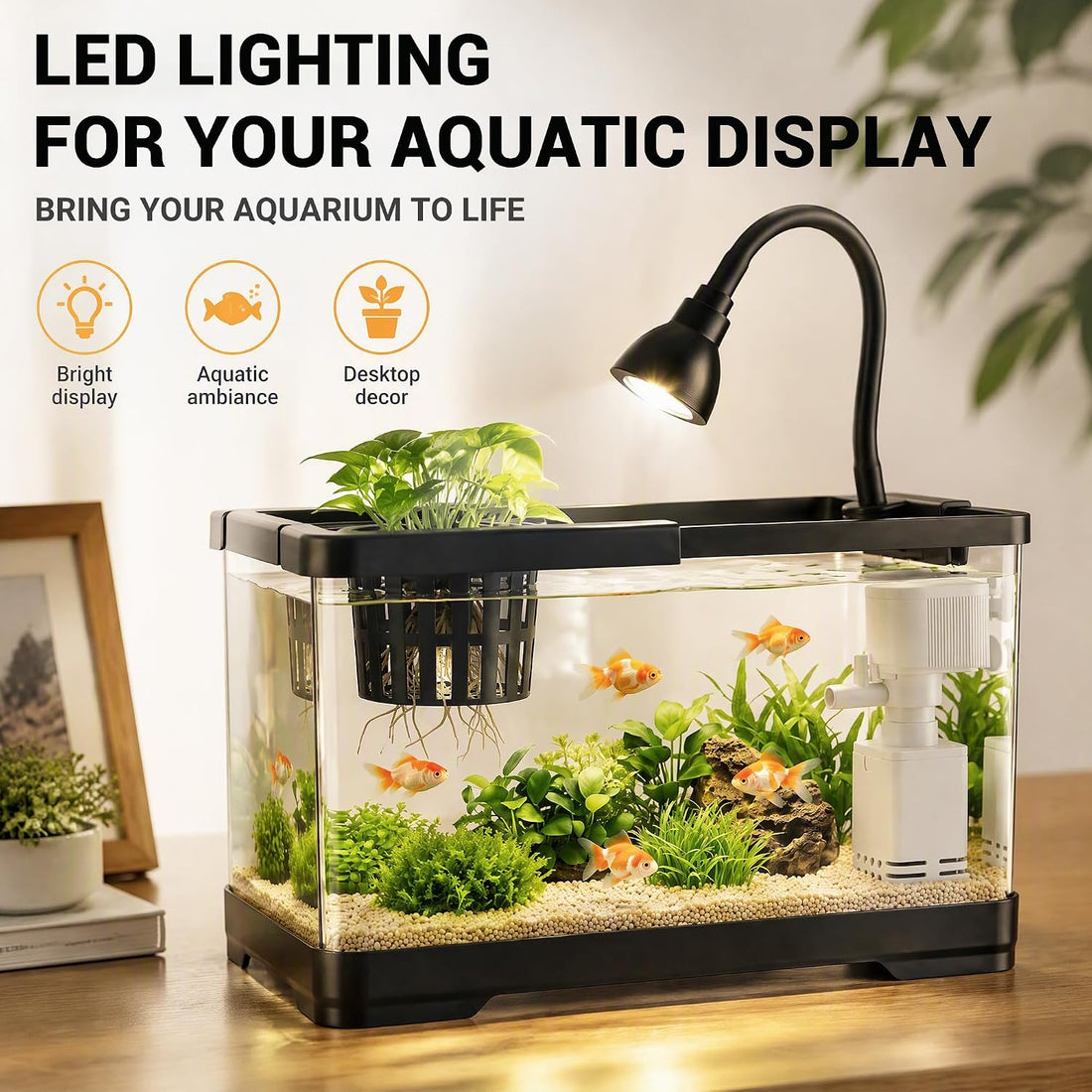 AS Fish Tank Aquarium with LED & 3-in-1 Pump for Betta, 3 Gal