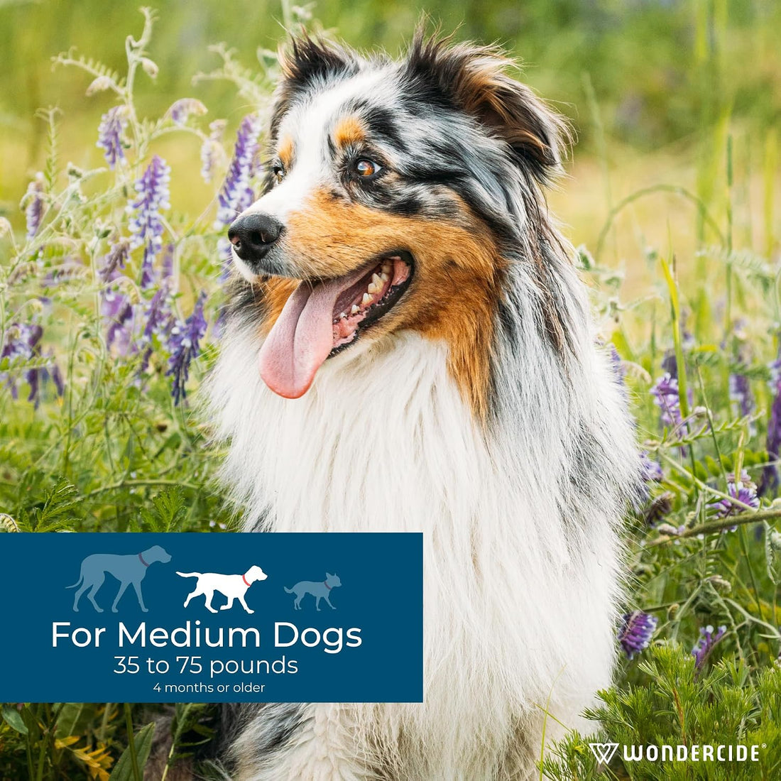 Wondercide - Flea Tick & Mosquito Dog Spot On